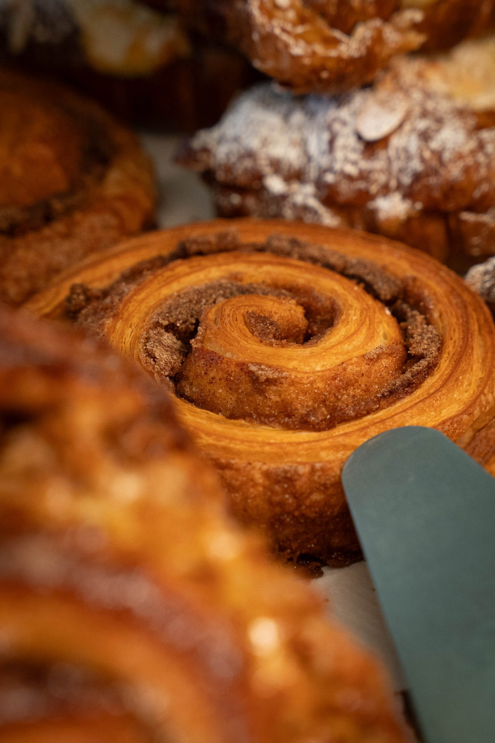 Cinnamon Swirl - Fior Di Latte