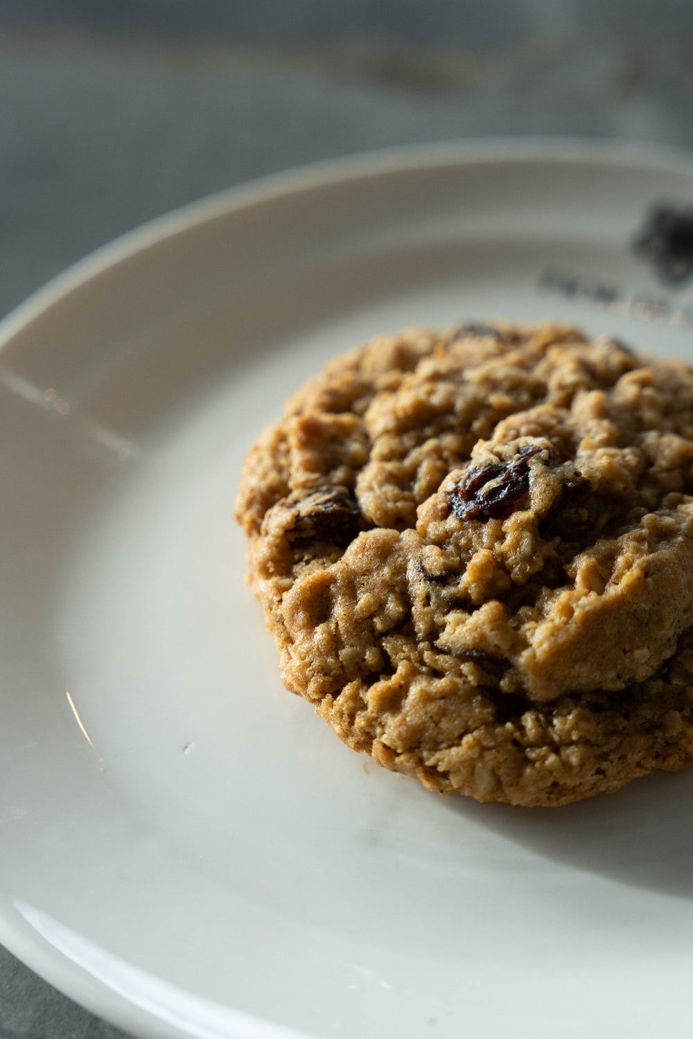 Oatmeal Raisin Nut Cookie - Fior Di Latte