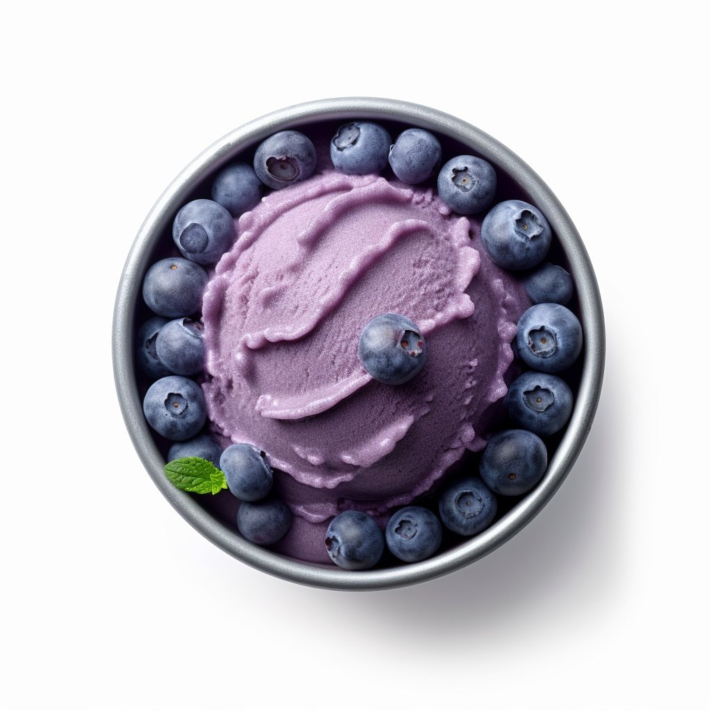 Blueberry (Sorbet) - FDL Cafe